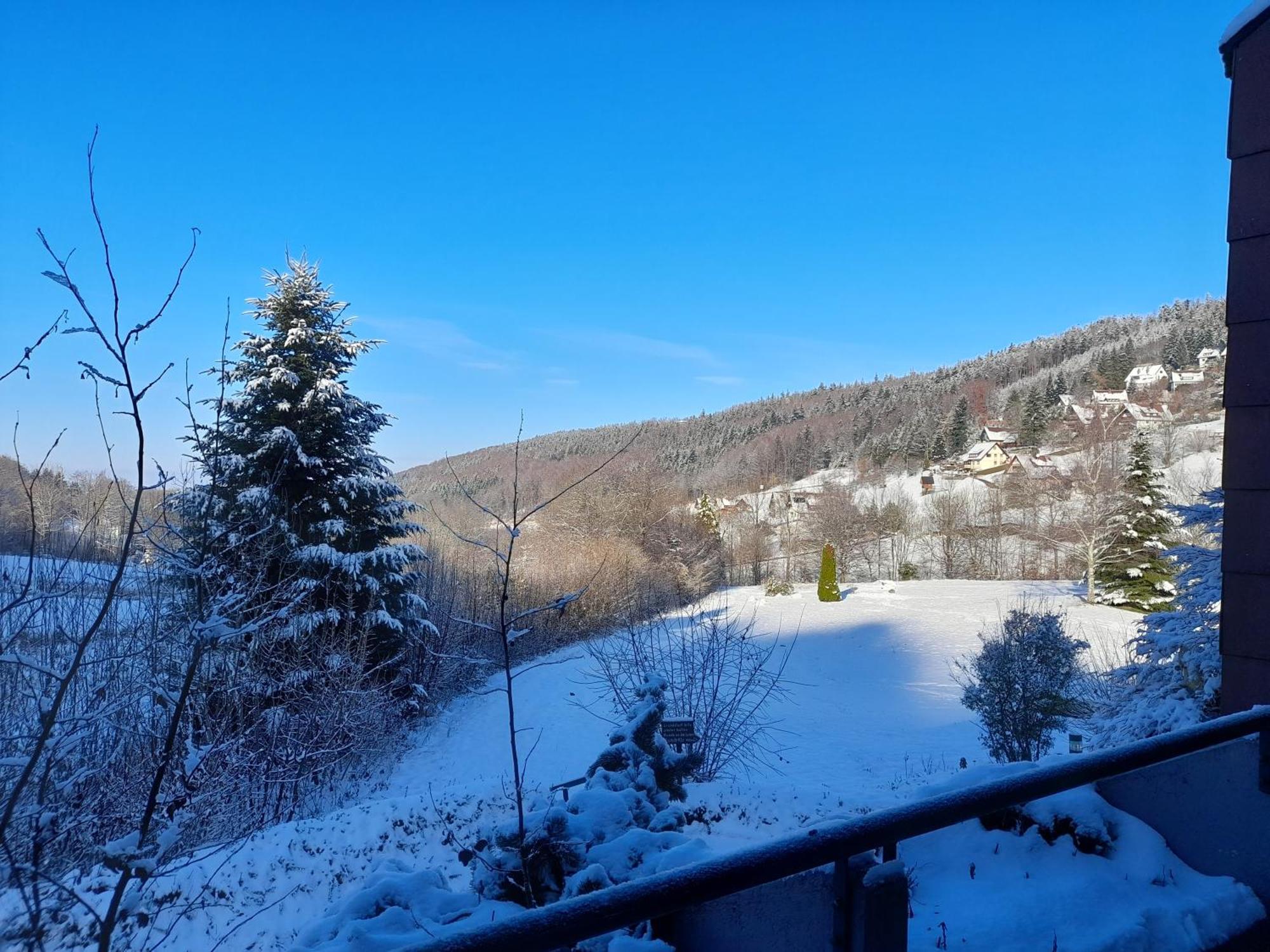 Schwarzwald Pur Appartement Sasbachwalden Buitenkant foto
