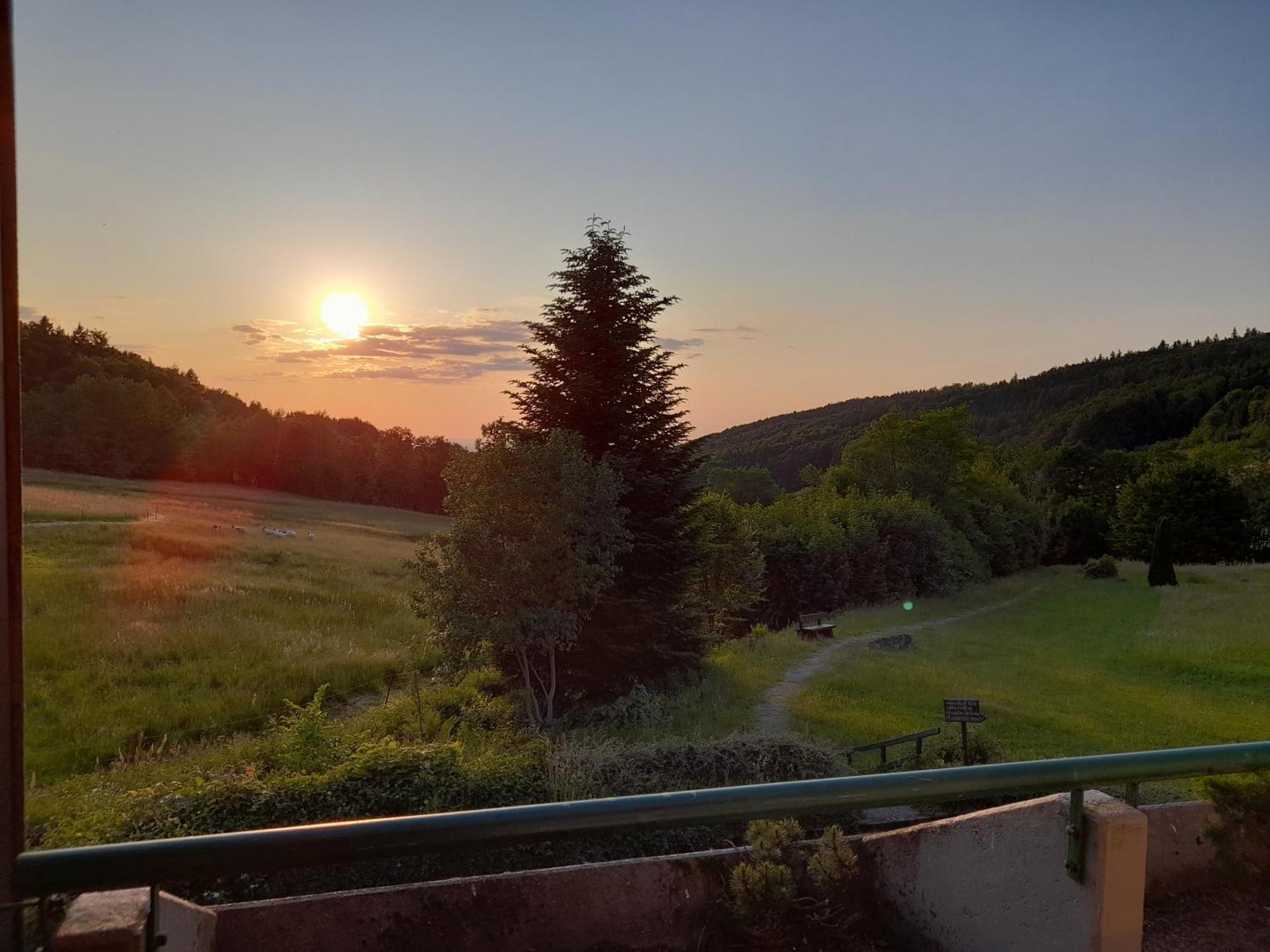 Schwarzwald Pur Appartement Sasbachwalden Buitenkant foto